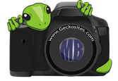 geckosites-dot-com-photography-logo