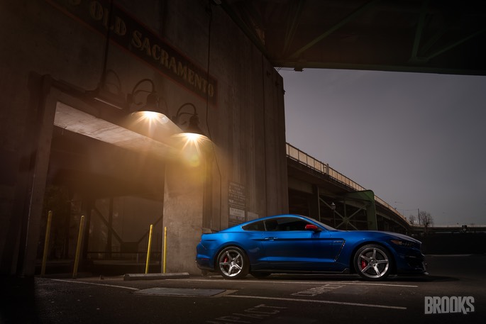 GT350 lit